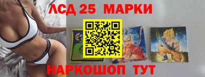 мяу мяу мука Будённовск